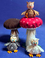 Lade das Bild in den Galerie-Viewer, Eulen zum Fädeln aus Filz, 6er Set (verschiedene Farben)