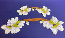 Lade das Bild in den Galerie-Viewer, Magnolienzweig aus Holz