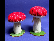 Laden und Abspielen von Videos im Galerie-Viewer, Pilze zum Nähen, 2er Set (verschiedene Farbkombinationen)