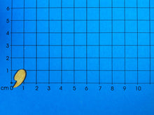 Lade das Bild in den Galerie-Viewer, Buchstaben in Schreibschrift 5cm aus Holz