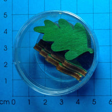 Lade das Bild in den Galerie-Viewer, Eichenblatt aus Holz in Dose 8 Stück farbig Blätter zum Bemalen, Blätter zum Basteln, Blätter zum selbst Gestalten, Blätter für Geldgeschenke, Blätter als Streudeko, Blätter aus Holz, Blätter für Hochzeit, Blätter für Geburtstagsdeko, Blätter für den Herbst, Blätter als Streudeko, Blätter für Hochzeit, Blätter zum selbst Gestalten, Blätter zum Bemalen, Blätter für Geburtstagsdeko, Blätter zum Basteln, Blätter aus Holz, Blätter für den Herbst, Blätter für Geldgeschenke, LAH 30D03-F67