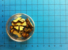 Lade das Bild in den Galerie-Viewer, 20 Stück in Dose Holzteile, Holzkunst, Streuteile diy, Basteln mit Holzteile, Holz bemalen, Holzteile bemalen, Streuteile Holz, Holzideen , Schleife zum Bemalen, Schleife zum Basteln, Basteln mit Kinder, Basteln mit Holz für Kinder, Kleine Holzteile, Basteln mit Holz, Holz bemalen Acryl, Basteln mit Holz, Basteln mit Kinder, Streuteile diy, Streuteile Holz, Kleine Holzteile, Holz bemalen, Holz bemalen Acryl, Basteln mit Holzteile, Holzteile bemalen, Basteln mit Holz, Schleife zum Bemalen, Basteln mit Holz