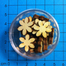 Lade das Bild in den Galerie-Viewer, Blumen aus Holz in Dose Streuteil Blume, Blumen zum Bemalen, Blumen für Gartendeko, Blumen zum Geburtstag, Blumen zum Basteln, Blumen aus Holz, Blumen zum Kartengestalten, Blumen zum Dekorieren, BLH 15D16