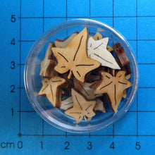 Lade das Bild in den Galerie-Viewer, mini Blätter in Dose
ca. 14 St. Bastelzubehör, Styroporkugel, Bastelbedarf, Styropor, Styroporball, Styropor, Styroporkugel, Bastelbedarf, Styroporball, Bastelzubehör, LAH 21D99