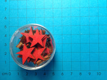 Lade das Bild in den Galerie-Viewer, Stern aus Holz in Dose farbig 1,9cm