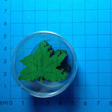 Lade das Bild in den Galerie-Viewer, Ahornblatt aus Holz 3cm farbig in Dose Blätter für Hochzeit, Blätter als Streudeko, Blätter aus Holz, Blätter für den Herbst, Blätter für Geburtstagsdeko, Blätter für Geldgeschenke, Blätter zum selbst Gestalten, Blätter zum Bemalen, Blätter zum Basteln, Blätter für Geburtstagsdeko, Blätter aus Holz, Blätter zum Basteln, Blätter zum Bemalen, Blätter für Geldgeschenke, Blätter zum selbst Gestalten, Blätter als Streudeko, Blätter für Hochzeit, Blätter für den Herbst, LAH 10D03-F67
