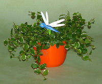 Lade das Bild in den Galerie-Viewer, Blumentopfstecker aus Holz