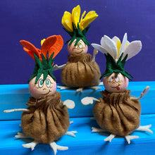 Lade das Bild in den Galerie-Viewer, Zwiebelblümchen (weiß, gelb, orange)