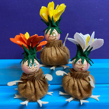 Lade das Bild in den Galerie-Viewer, Zwiebelblümchen (weiß, gelb, orange)