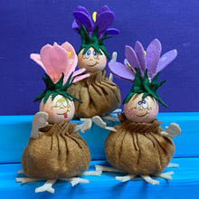 Lade das Bild in den Galerie-Viewer, Zwiebelblümchen (rosa, flieder, lila)