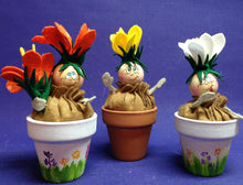 Lade das Bild in den Galerie-Viewer, Zwiebelblümchen (weiß, gelb, orange)