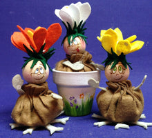 Lade das Bild in den Galerie-Viewer, Zwiebelblümchen (weiß, gelb, orange)