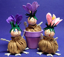 Lade das Bild in den Galerie-Viewer, Zwiebelblümchen (rosa, flieder, lila)