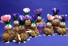 Lade das Bild in den Galerie-Viewer, Zwiebelblümchen (rosa, flieder, lila)