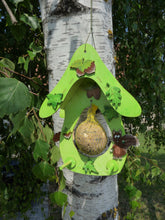 Lade das Bild in den Galerie-Viewer, Haselnuß aus Holz Streuteile Holz, Haselnuss, Basteln mit Holz, Basteln mit Holzteile, Holzideen , Holz bemalen, Basteln mit Holz für Kinder, Kleine Holzteile, Streuteile diy, Holzteile, Nüsse zum Basteln, Holzteile bemalen, Holz bemalen Acryl, Nüsse zum Bemalen, Holzkunst, Basteln mit Holz, Streuteile diy, Basteln mit Holz, Kleine Holzteile, Holzkunst, Holzteile bemalen, Basteln mit Holzteile, Streuteile Holz, Holzteile, Holz bemalen Acryl, Nüsse zum Bemalen, Holz bemalen, Holzideen , Haselnuss, Basteln