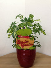 Lade das Bild in den Galerie-Viewer, Schriftzug Bin im Garten aus Holz Schriftzüge bemalen, Basteln mit Holz, Eingangsschild, Holzkunst, Schriftzüge aus Holz, Bastelideen mit Holz, Herzlich willkommen Schriftzug, Schriftzug Bastelartikel, Holzteile bemalen, Schriftzug Bastelartikel, Eingangsschild, Holzkunst, Herzlich willkommen Schriftzug, Basteln mit Holz, Schriftzüge aus Holz, Bastelideen mit Holz, Schriftzüge bemalen, Holzteile bemalen, SZH 9212