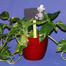 Lade das Bild in den Galerie-Viewer, Maus als Koch aus Holz Haustiere malen, Dekoration mit Kindern gestalten, Kleinteile zum bemalen, Frühjahrsdekoration gestalten, Küchendeko aus Holz, Basteln mit Kindern, Geschenkideen zum basteln, Tiere aus Holz malen, Tiere aus Holz basteln, Mäuse mit Kindern malen, Jahrsesdeko basteln, Menükarten gestalten, Geschenkideen zum basteln, Jahrsesdeko basteln, Kleinteile zum bemalen, Tiere aus Holz malen, Basteln mit Kindern, Haustiere malen, Mäuse mit Kindern malen, Küchendeko aus Holz, Frühjahrsdekoration