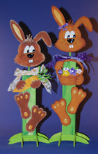 Lade das Bild in den Galerie-Viewer, Bastelzubehör Ostern, Möhre, Karotte, Osterhase Zubehör, Ostern , Gemüse, Bastelartikel Ostern, Zubehör Ostern, gelbe Rübe, HKO 3710