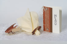 Lade das Bild in den Galerie-Viewer, 6cm Jakobsmuschel Holzideen , Basteln mit Holz für Kinder, Tischdekoration selbst basteln, Holzkunst, Blumen für Tischdeko, Holzteile, Basteln mit Holz, Tischdeko selbst gestalten, Serviettenhalter zum Basteln, Basteln mit Holz, Basteln mit Holz, Basteln mit Holz für Kinder, Holzideen , Basteln mit Holz, Serviettenhalter zum Basteln, Holzteile, Blumen für Tischdeko, Tischdeko selbst gestalten, Holzkunst, Tischdekoration selbst basteln, SRH 7008