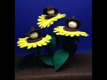 Laden und Abspielen von Videos im Galerie-Viewer, Sonnenblumenkinder, 3er Set